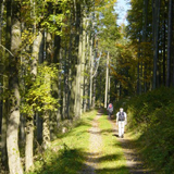 Thüringer Wald Natuurreservaat Wandelreis